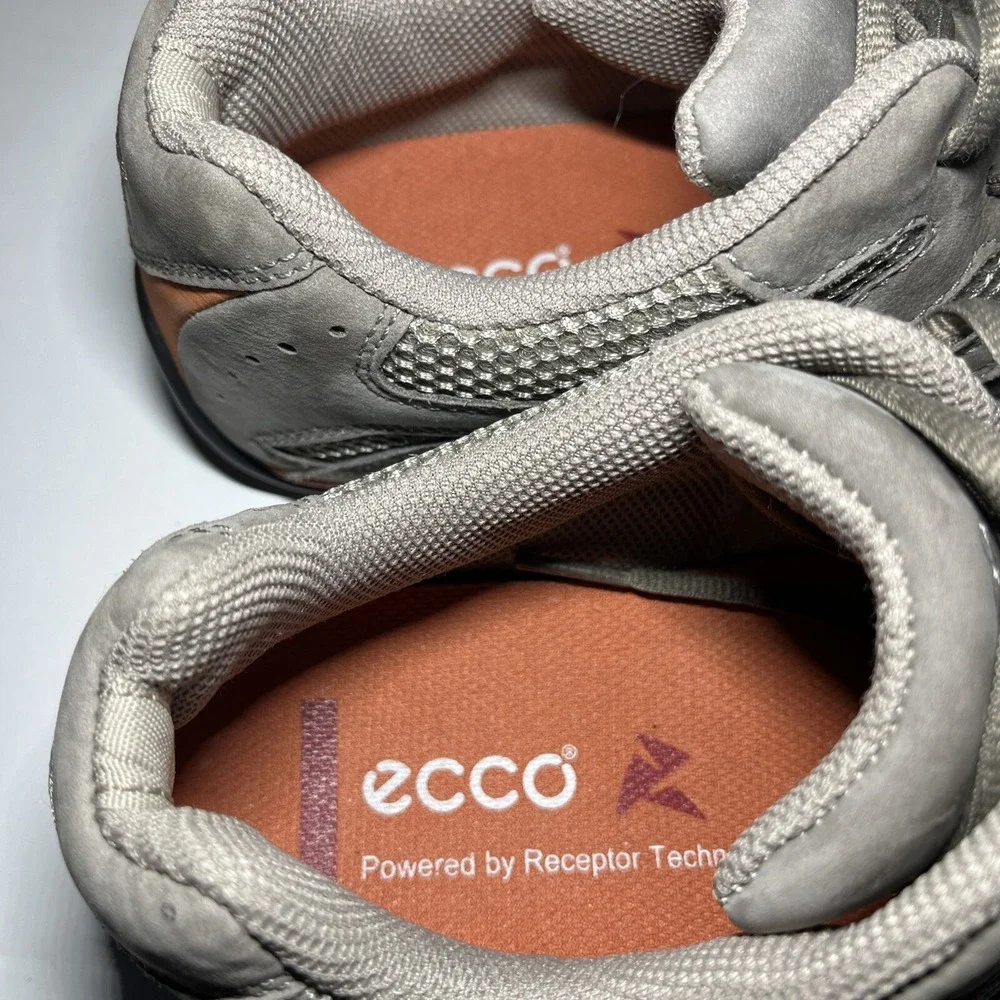 Ecco women receptor